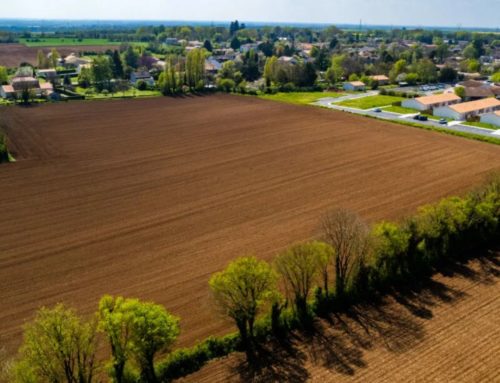 Notre engagement auprès de Créateur de forêt